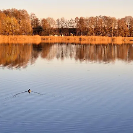 Przystanek Oslonin- Caloroczny Dom Na Wynajem *