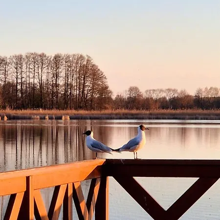 بيت للعطل Przystanek Oslonin- Caloroczny Dom Na Wynajem Oslonin