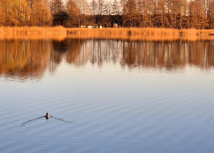 Przystanek Oslonin- Caloroczny Dom Na Wynajem *