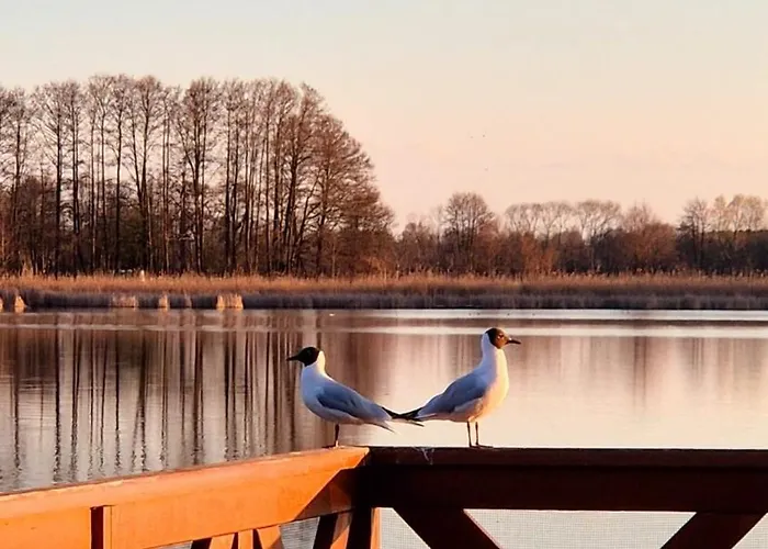 Holiday home Przystanek Oslonin- Caloroczny Dom Na Wynajem Oslonin